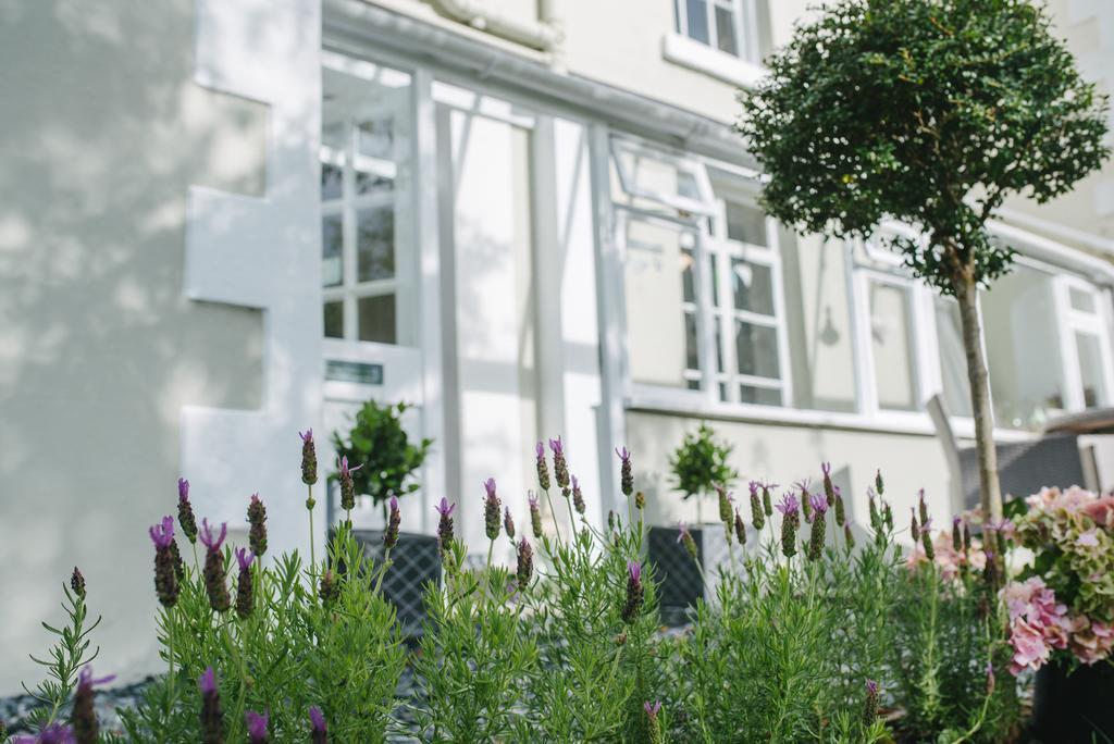 Apple Tree Bed And Breakfast Tavistock  Exterior foto